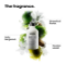 Picture of L'Oreal Metal Detox Shampoo: Transform Your Hair with Ultimate Protection and Shine!